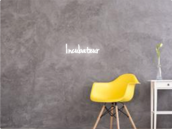 Custom text: Incubateur