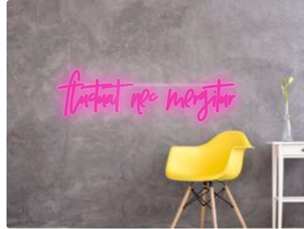 Custom text: fluctuat nec mergitur