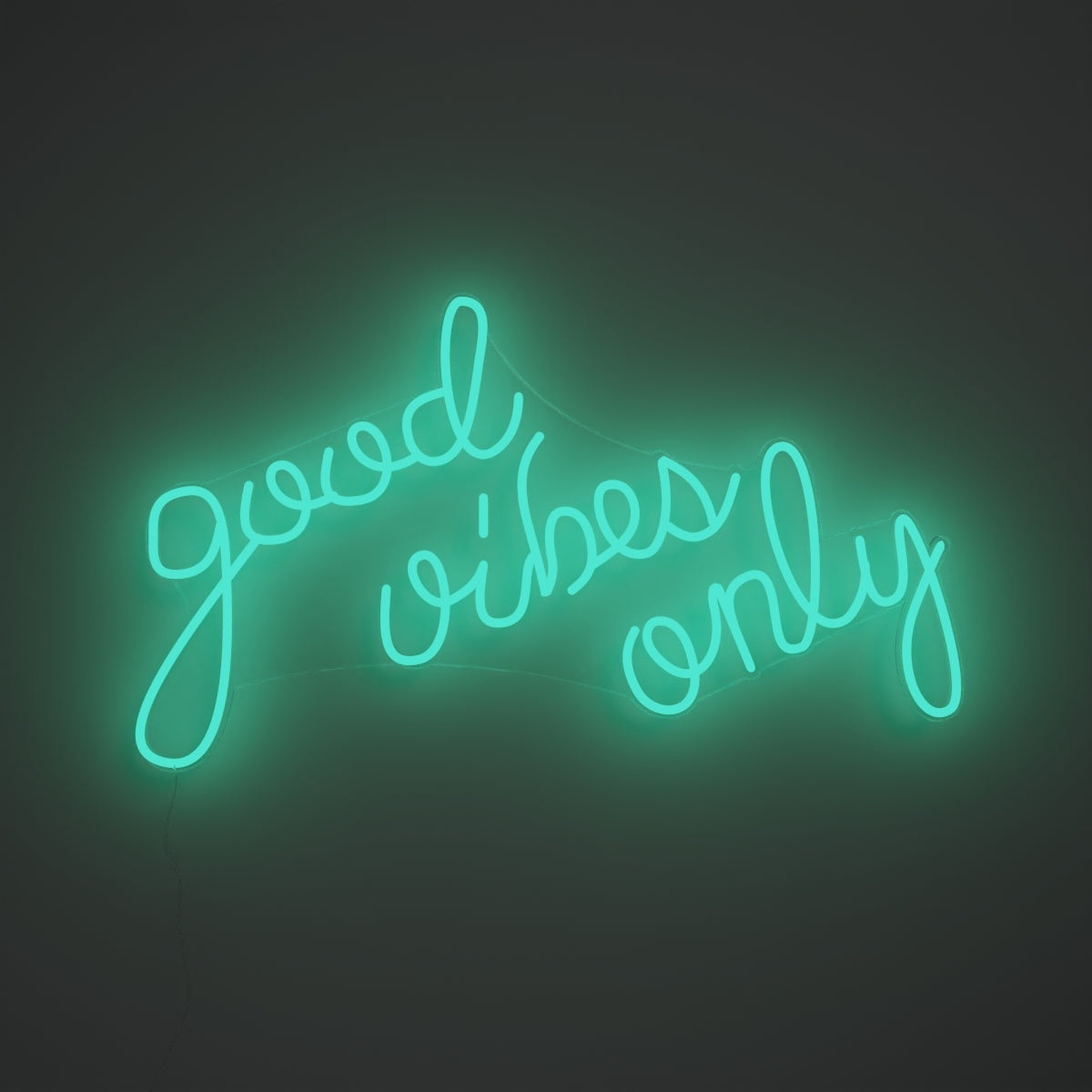 Good Vibes Only, neon LED sign