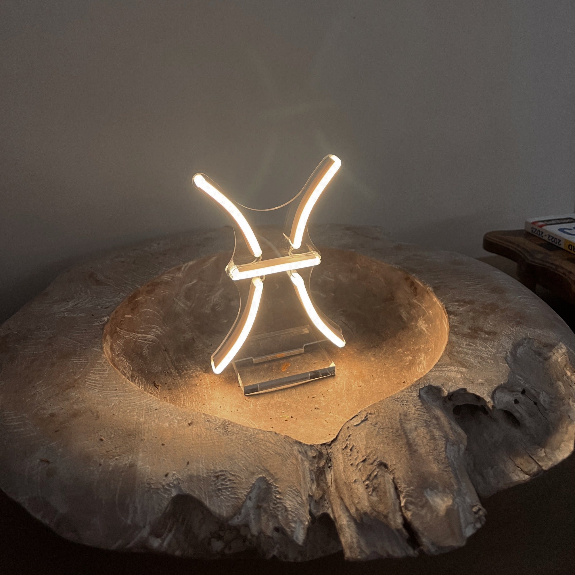 Pisces, sign in neon LED